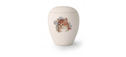 Katten urn KT-03