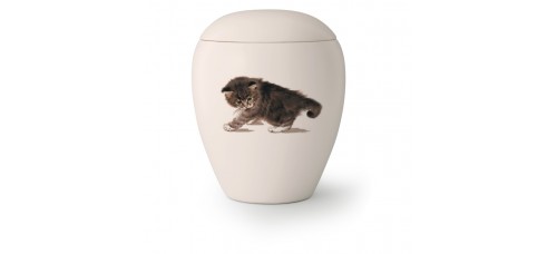 Katten urn KT-05