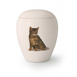 Katten urn KT-06