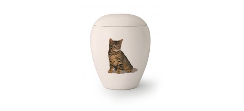 Katten urn KT-06