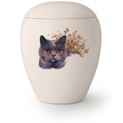 Katten urn KT-10