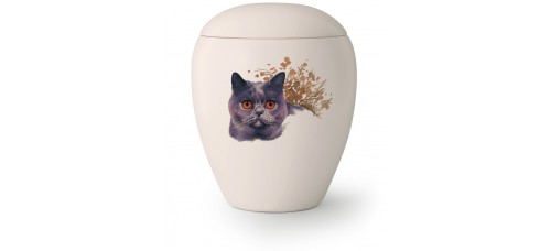 Katten urn KT-10